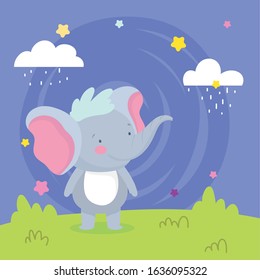 cute little elephant rainy clouds meadow stars cartoon vector illustration