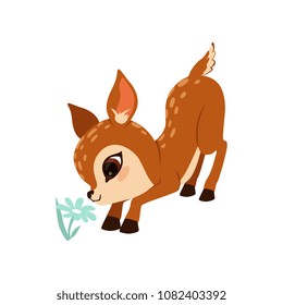 Cute little fawn character sniffing flower vector Illustration on a white background