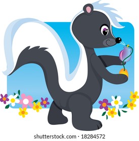 A cute little female skunk spraying herself with perfume