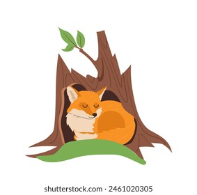 Cute little fox cartoon character sleeping in tree trunk hollow isolated on white background