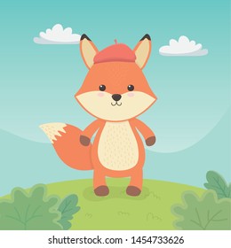 cute and little fox in the field