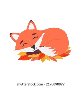 Cute little fox sleeping on a pillow of autumn leaves. Adorable forest character with fluffy tail. Vector design element. Flat illustration isolated on white background