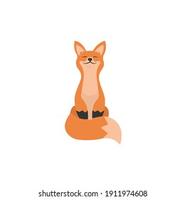 A cute little fox that exposes its orange face to the bright rays of the sun, wrapping itself in a fluffy tail with a beige tip