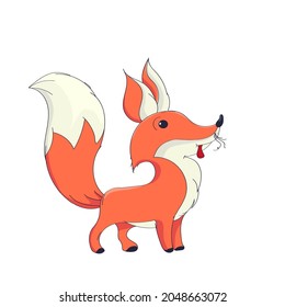 Cute little fox vector character over white background