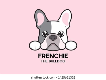 A cute little Frenchie is stuck to the edge of the table and waiting for some food. The blue-pied French Bulldog Logo. This is Frenchie Series in portrait photo style.