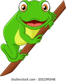 Cute little frog cartoon on tree branch