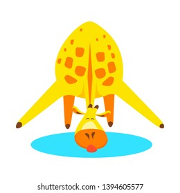 Cute little funny yellow giraffe drinking water from a puddle. Flat vector illustration.