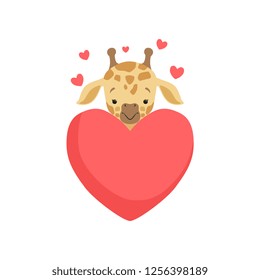 Cute little giraffe with big red heart, funny jungle animal cartoon character in love vector Illustration on a white background