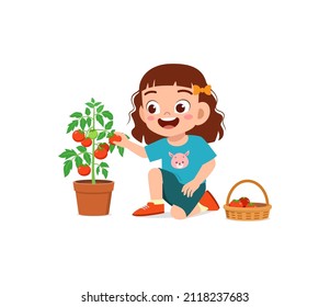 Cute Little Girl Harvest Tomato In The Garden