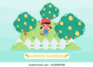 Cute little girl harvesting lemon in the lemon garden and holding fruit basket full of lemons. cute cartoon illustration. Suitable for, sticker, children, farming, botanical product illustration.