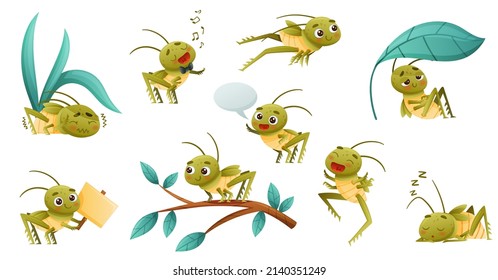 Pequeño saltamontes con actividades variadas. Ilustración vectorial de dibujos animados de mascota de insectos infantiles adorables
