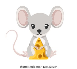 Cute little gray mouse sit on floor and hold cheese. Cartoon animal character design. Flat vector illustration isolated on white background.