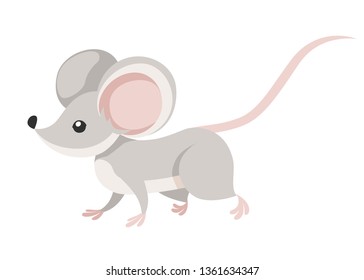 Cute little gray mouse walk. Cartoon animal character design. Flat vector illustration isolated on white background.