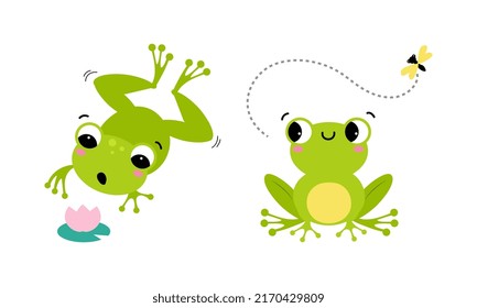 Cute little green baby frog jumping and catching fly with tongue set cartoon vector illustration