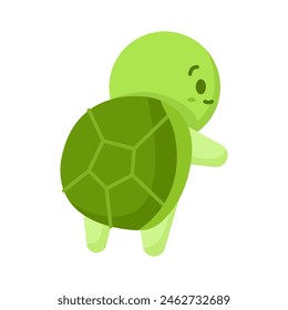 Cute little green turtle walk away