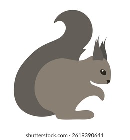 Cute little grey squirrel with a big tail