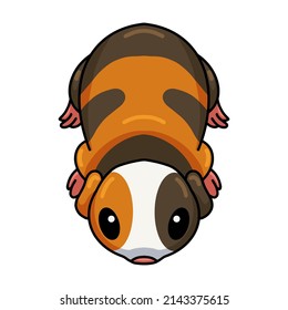 Cute little guinea pig cartoon