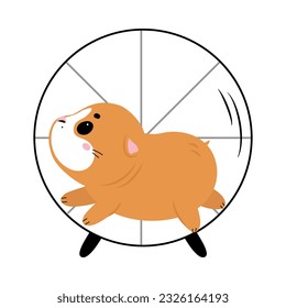 Cute little guinea pig running in wheel cartoon vector illustration