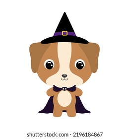 Cute little Halloween dog in a wizard costume. Cartoon animal character for kids t-shirts, nursery decoration, baby shower, greeting card, invitation, house interior. Vector stock illustration
