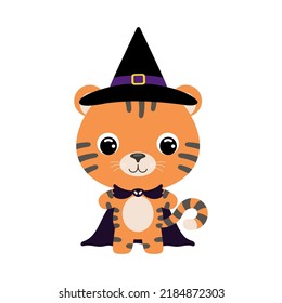 Cute little Halloween tiger in a wizard costume. Cartoon animal character for kids t-shirts, nursery decoration, baby shower, greeting card, invitation, house interior. Vector stock illustration