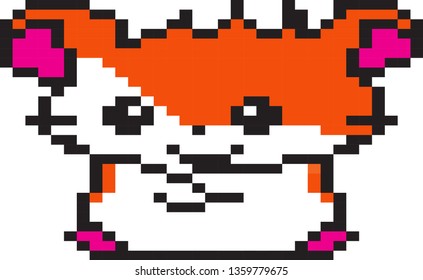 Cute little hamster