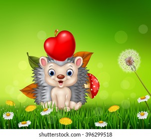 Cute little hedgehog in the beautiful grass background