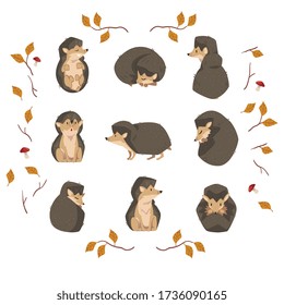 Cute Little Hedgehog Collection, Lovely Wild Forest Animal Cartoon Character in Various Poses Vector Illustration