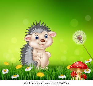 Cute little hedgehog on grass background