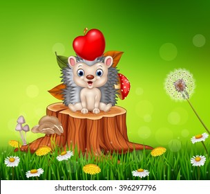 Cute little hedgehog sitting in the beautiful grass background