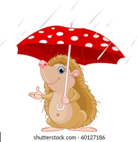 Cute little Hedgehog under umbrella presenting