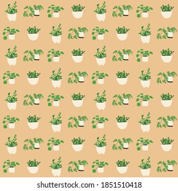 Cute little house plants repeat pattern. Potted Monstera obliqua, cactus, chinese money plant, succulent plants.
On a yellow / beige background.