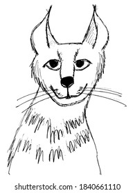 Cute little jackal. Motive of nature, wildlife, animals. Vector, sketch illustration in primitive, children style. Can be used for printing and web design