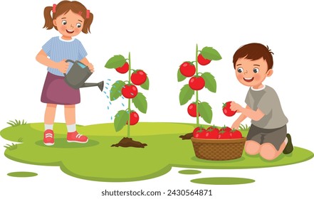 Cute little kids watering and harvesting tomatoes in the garden