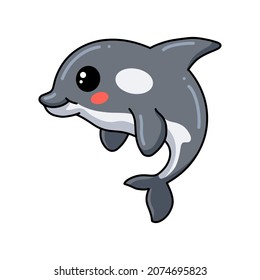 Cute little killer whale cartoon