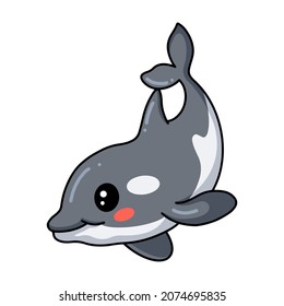 Cute little killer whale cartoon