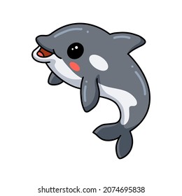 Cute little killer whale cartoon