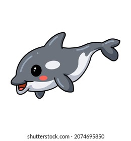 Cute little killer whale cartoon