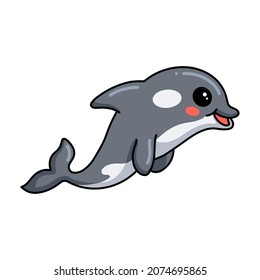 Cute little killer whale cartoon