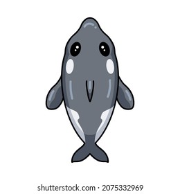 Cute little killer whale cartoon