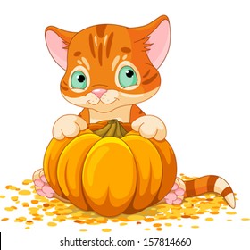 Cute little kitten holding giant pumpkin  