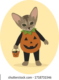 Cute little kitten in pumpkin costume ready for halloween, cat cartoon vector.