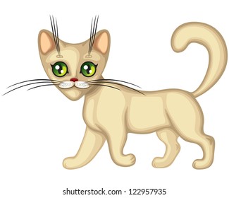 Cute little kitten runs and wagging tail