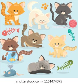 Cute little kittens