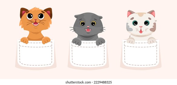 Cute little kittens inside pockets. Hand drawn cats for baby print or t-shirt design. Vector cartoon illustration in kawaii style