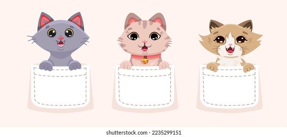 Cute little kittens inside pockets. Hand drawn cats for baby print or t-shirt design. Vector cartoon illustration in kawaii style