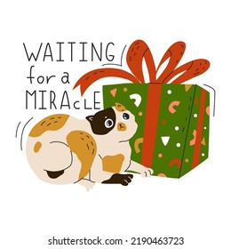 Cute little kitty in anticipation of a miracle, he looks at the box with the gift. New year sticker with funny cat. Greeting card for holiday party. Flat style in vector illustration. Isolated object.
