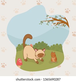 cute little kitty and guinea pig mascots