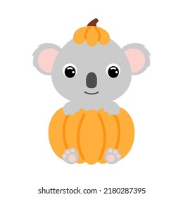 Cute little koala sitting in a pumpkin. Cartoon animal character for kids t-shirts, nursery decoration, baby shower, greeting card, invitation. Vector stock illustration