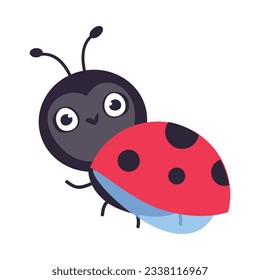 Cute little ladybug insect mascot cartoon vector illustration