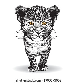 Cute little leopard cub. Hand drawn vector illustration.